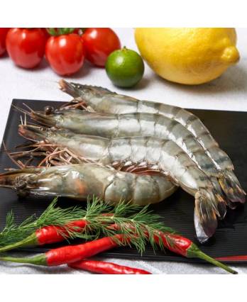Ken Ken Black Tiger Prawn 31/40 - Frozen