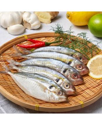 Ken Ken Kuning Fish - Frozen