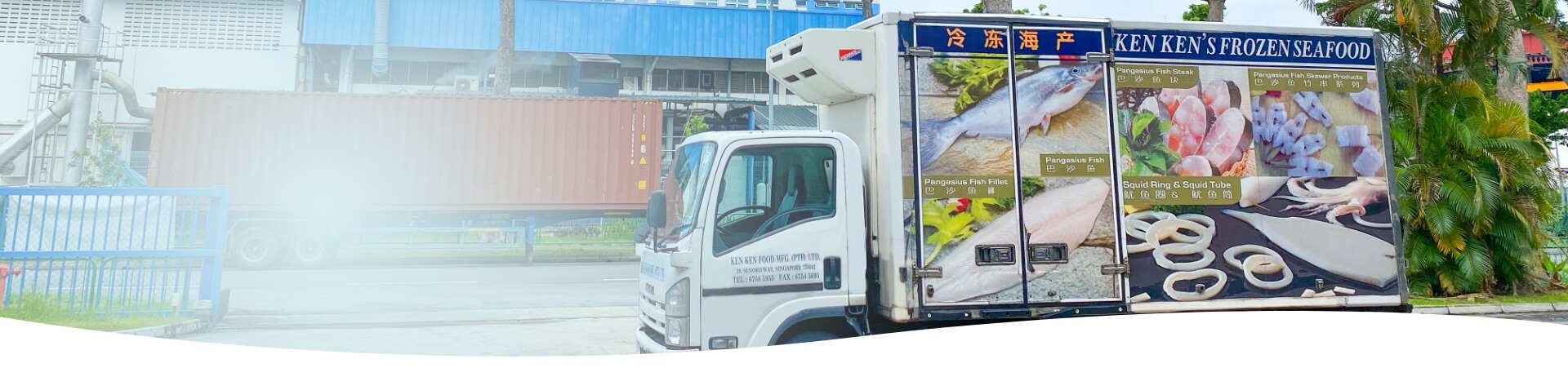 Logistic
